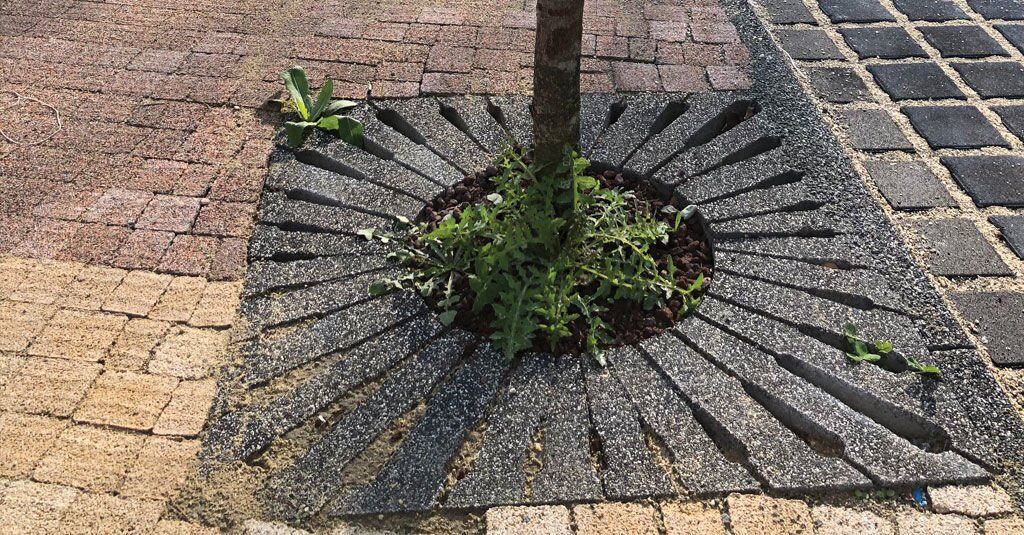 Bazalt Kumlamalı Beton Ağaç