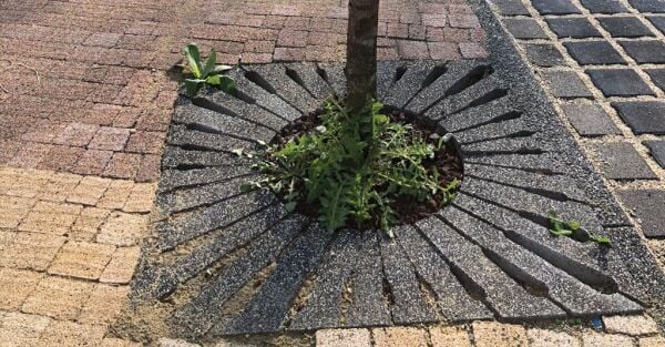 Bazalt Kumlamalı Beton Ağaç