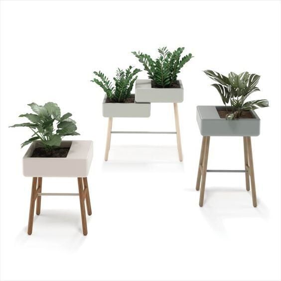 Yeşil Ahşap Sedir Saksı