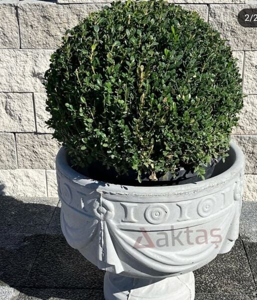 Desenli Beton Saksı - Klasik Motifli Bahçe Saksısı
