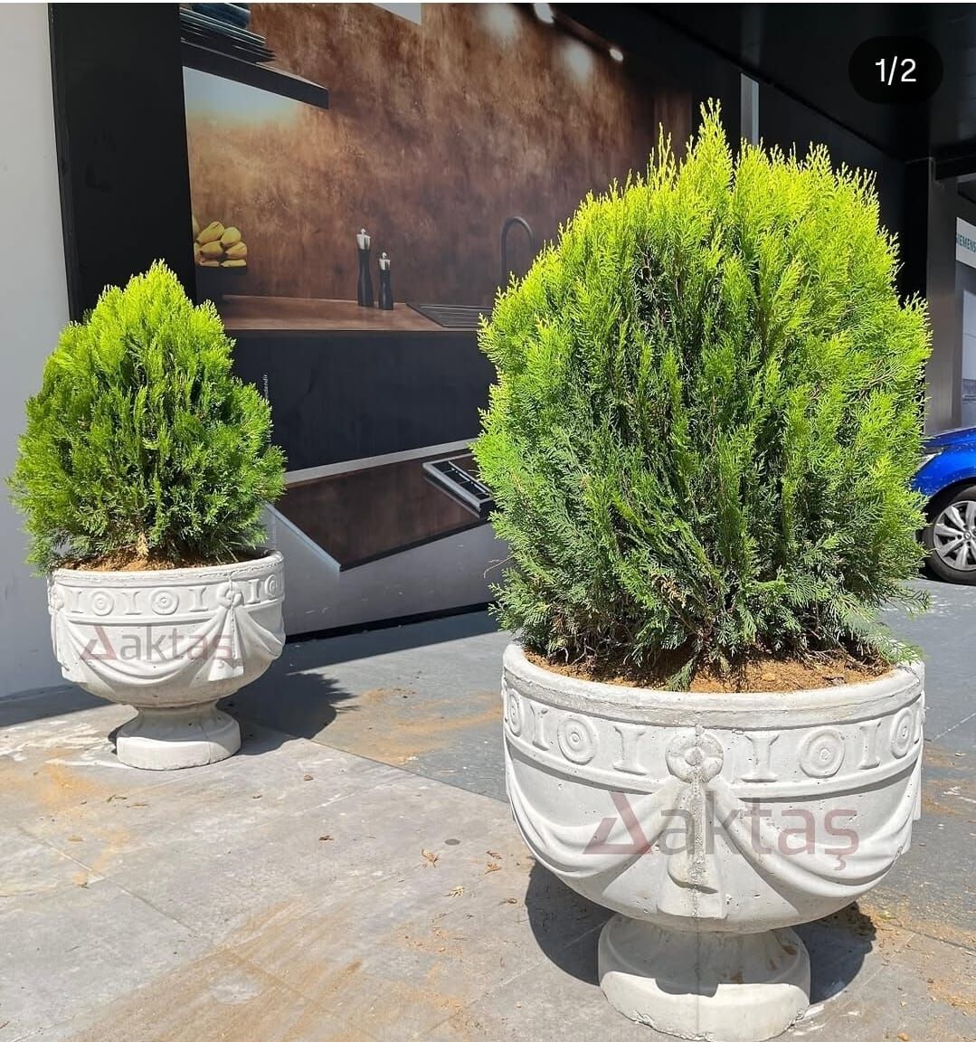 Desenli Beton Saksı - Klasik Motifli Bahçe Saksısı