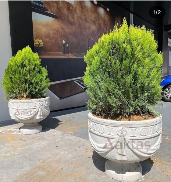 Desenli Beton Saksı - Klasik Motifli Bahçe Saksısı