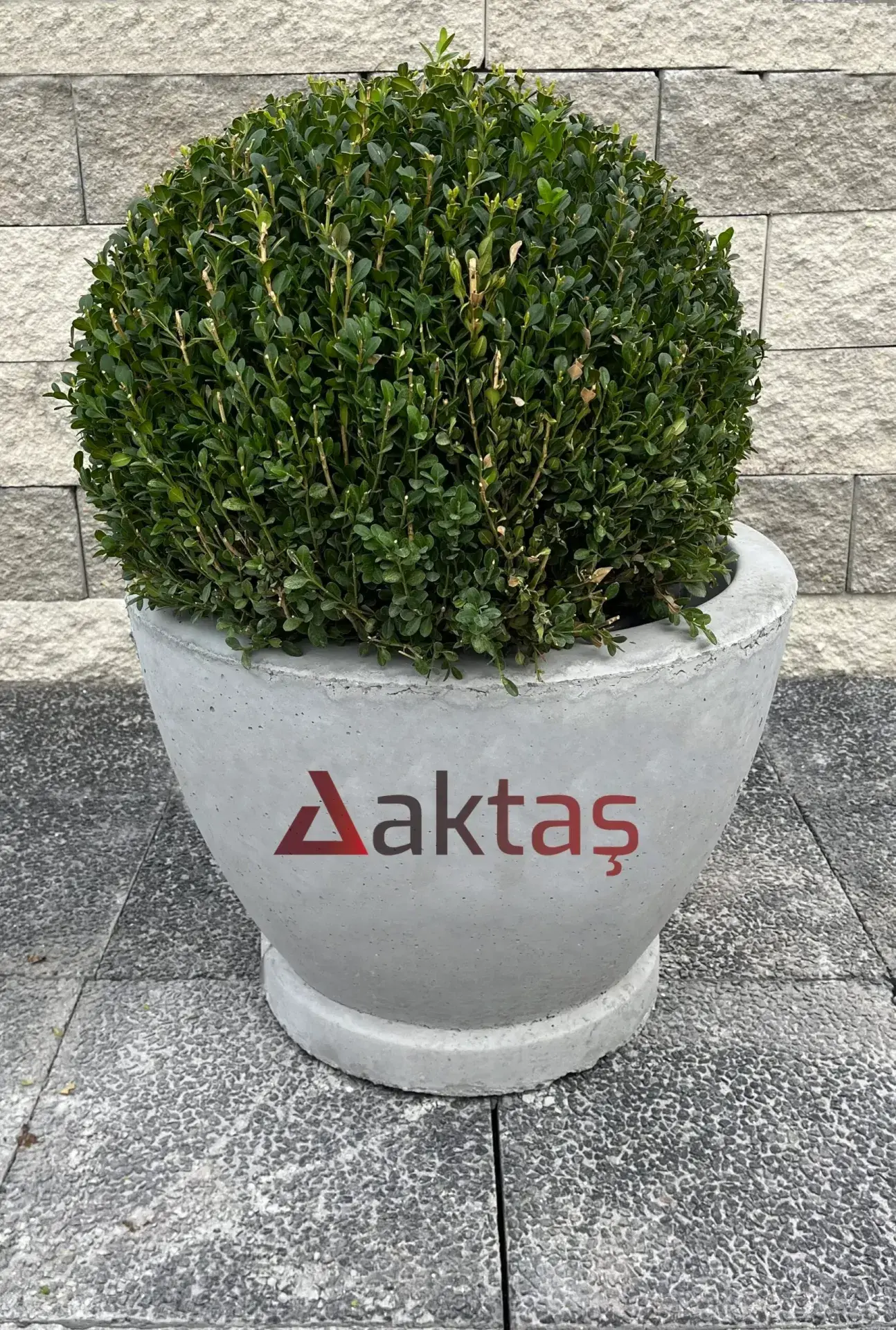 Aktaş Beton Yuvarlak Saksı (60x60x44 cm)
