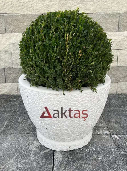 Aktaş Beyaz Dolomit Yuvarlak Saksı (60x60x44 cm)