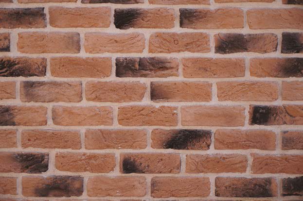 Eski Tuğla SOIL BP 3010