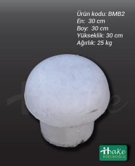 Beton mantar