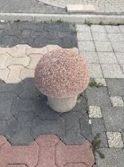 Beton mantar