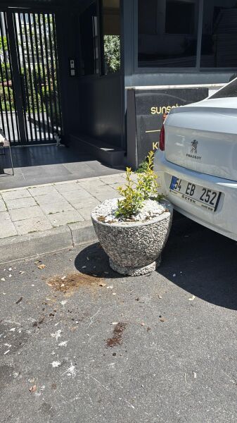 Tekirdağ Beton Saksı | Mozaik Agrega Kaplamalı | Peyzaj Saksısı