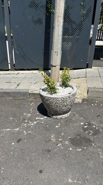 Tekirdağ Beton Saksı | Mozaik Agrega Kaplamalı | Peyzaj Saksısı