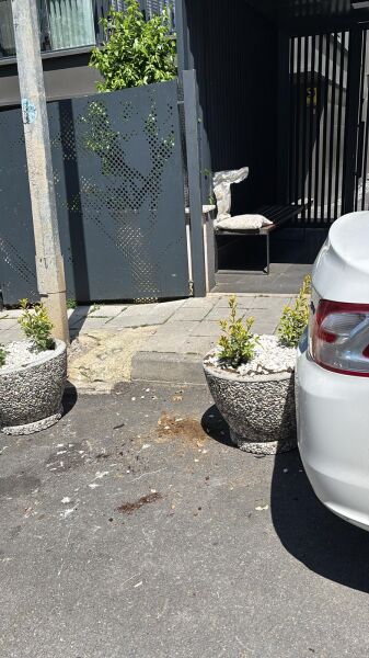 Tekirdağ Beton Saksı | Mozaik Agrega Kaplamalı | Peyzaj Saksısı