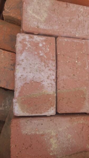 Kırmızı Dekoratif Taban Tuğlası 10x20x4 cm