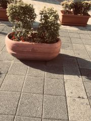 Quaraí Beton Saksı