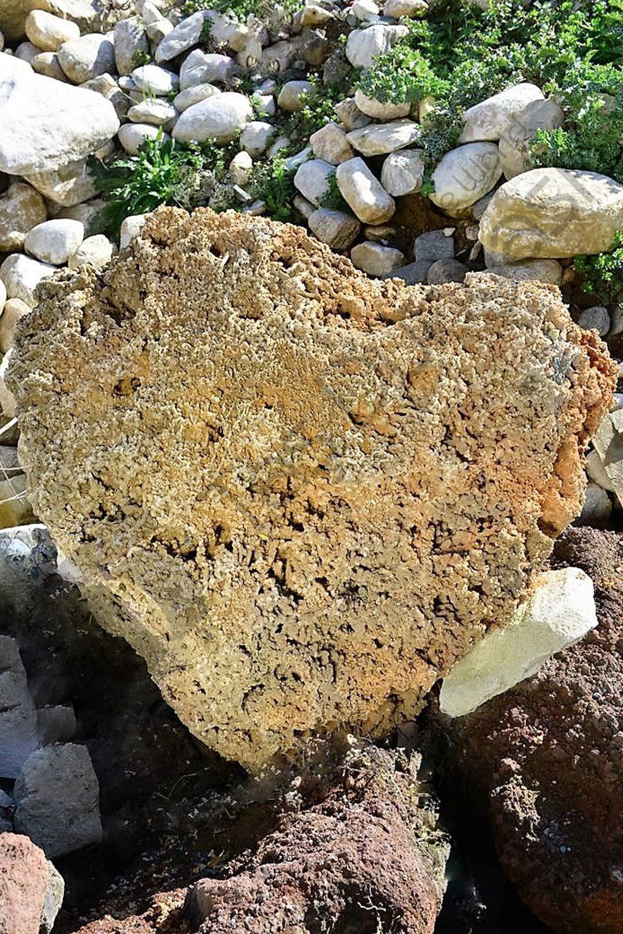 Spagetti Makarna Tasi