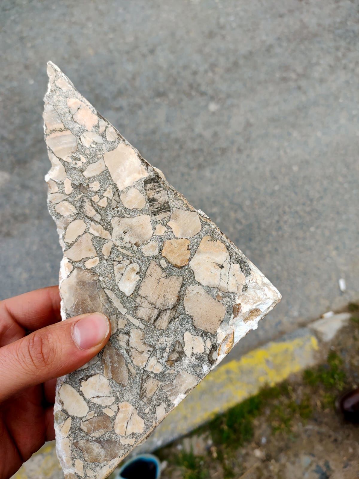 Salyangoz fosili Fiyatları