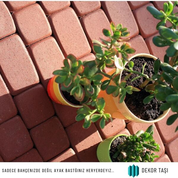 Kırmızı Otantik Taş