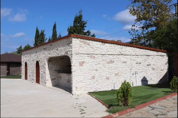 Sisyridae Kültür Taşı