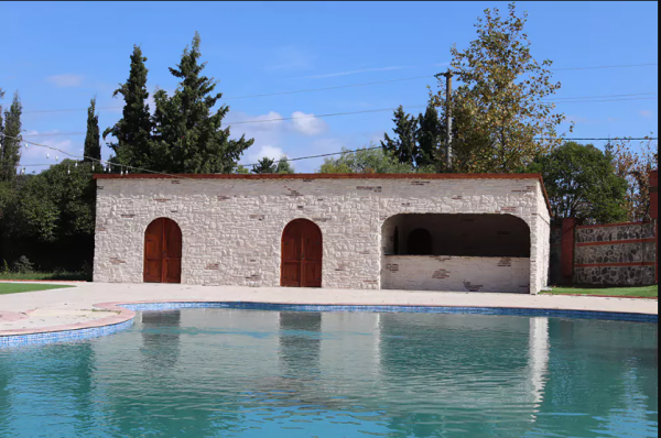 Sisyridae Kültür Taşı