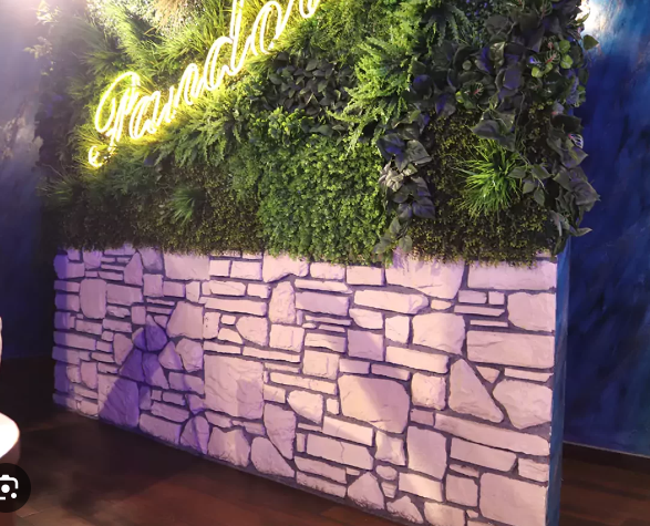 Dendroica Kültür Taşı