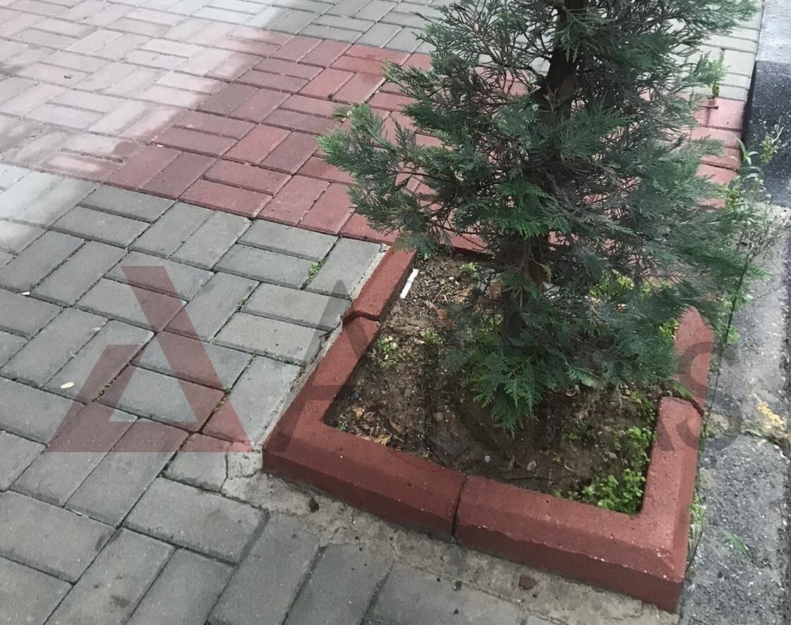 Ağaç Dibi 02 L Tipi Ağaç Dibi Bordür