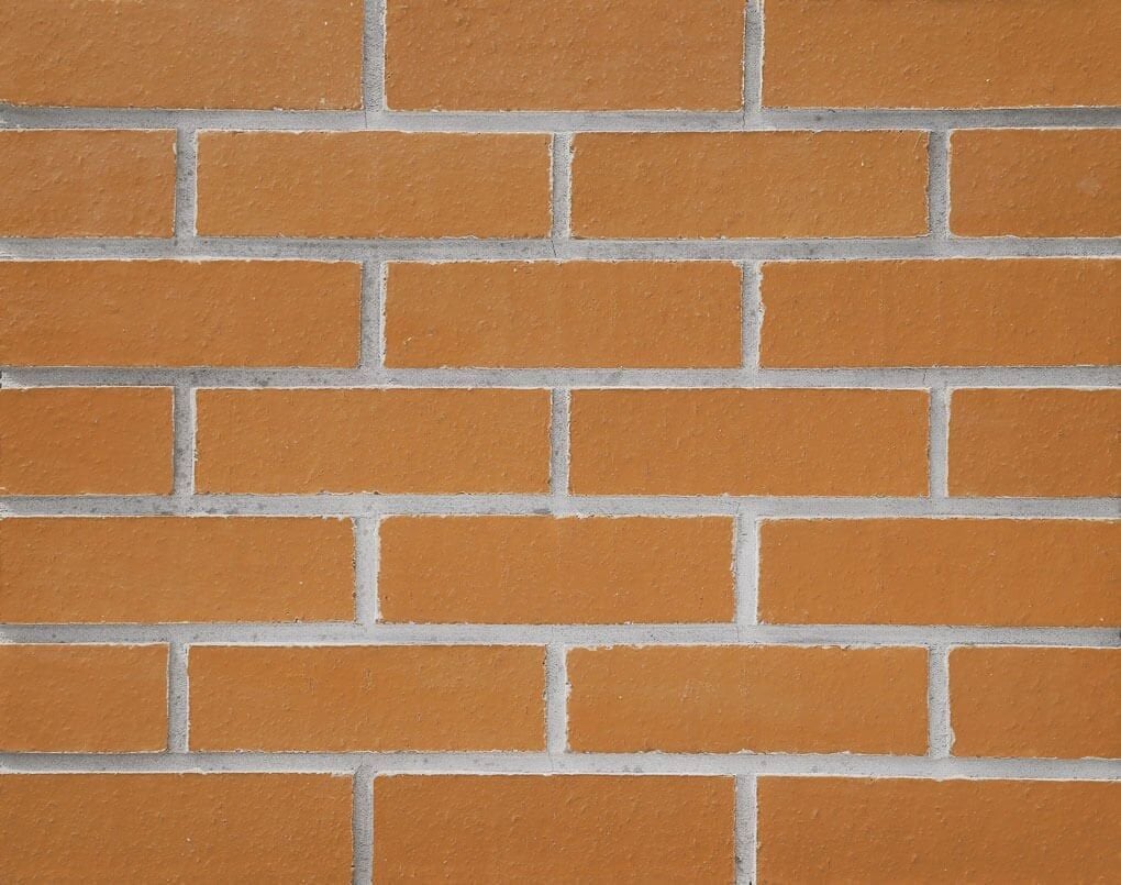 Brassavola Turuncu Bisküvi Tuğla