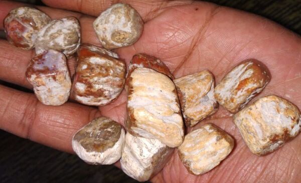 Ahşap Taş Parçaları