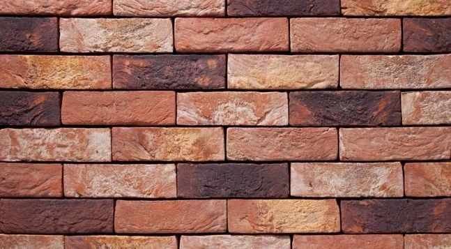Cephe Tuğlası 25 ZINNIA