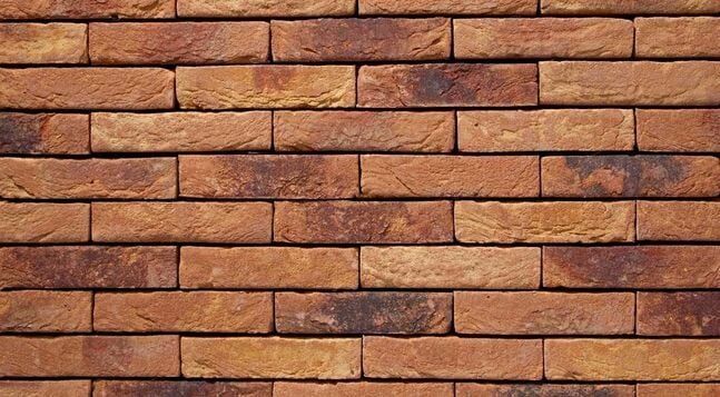 Cephe Tuğlası 29 PRIMULA