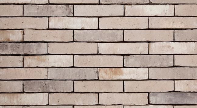 501 HAGEN WS: Duvarlarınıza Zarif ve Modern Bir Dokunuş