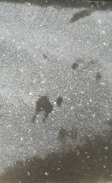 Drassyllus Terrazo Karo