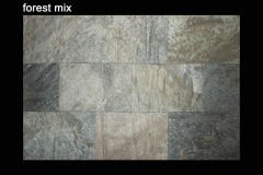 Forest mix