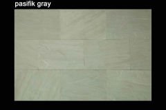 pasifik gray