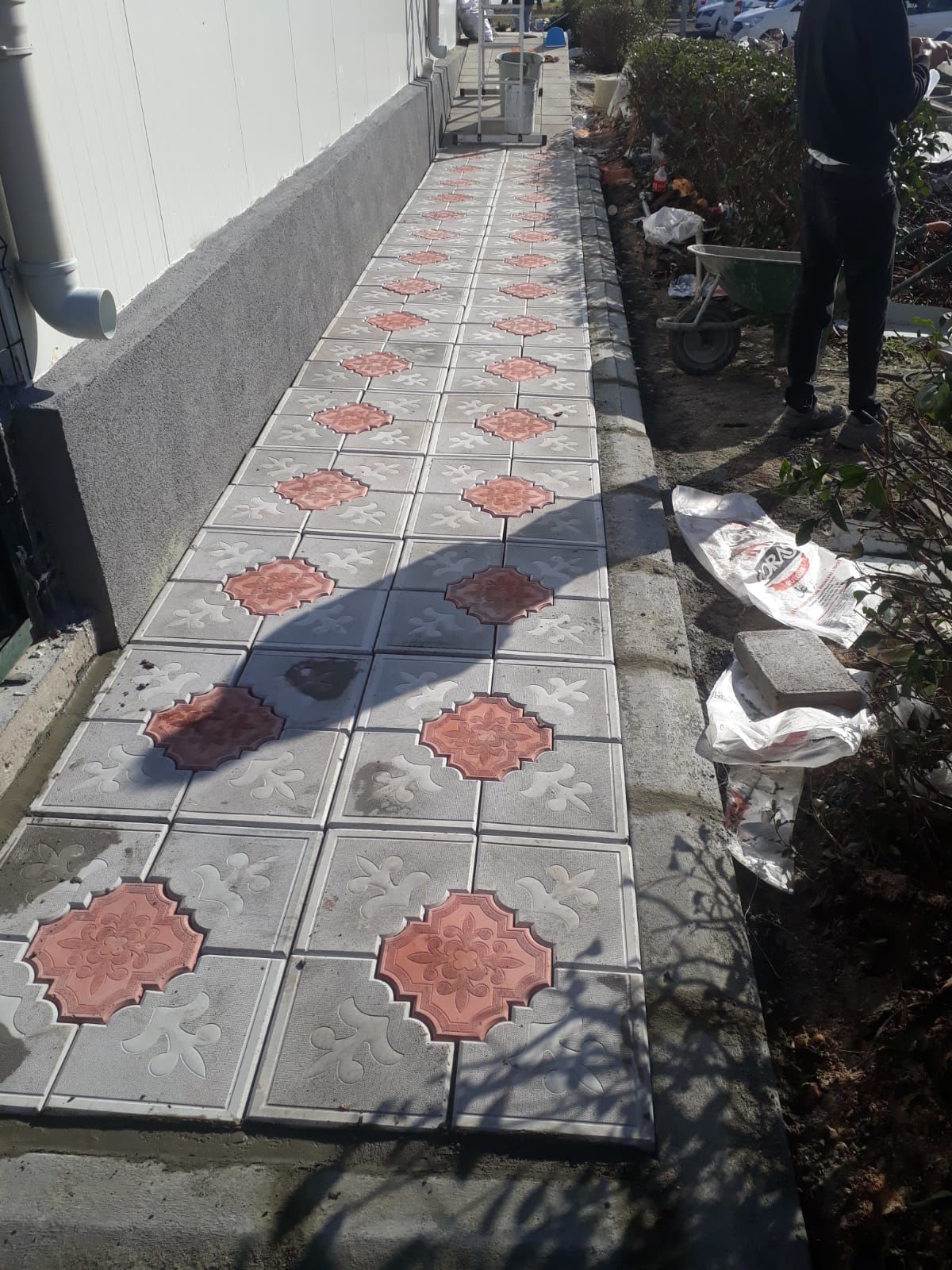 Orkide Yer Taşı