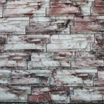 Rustik Cephe Kaplama