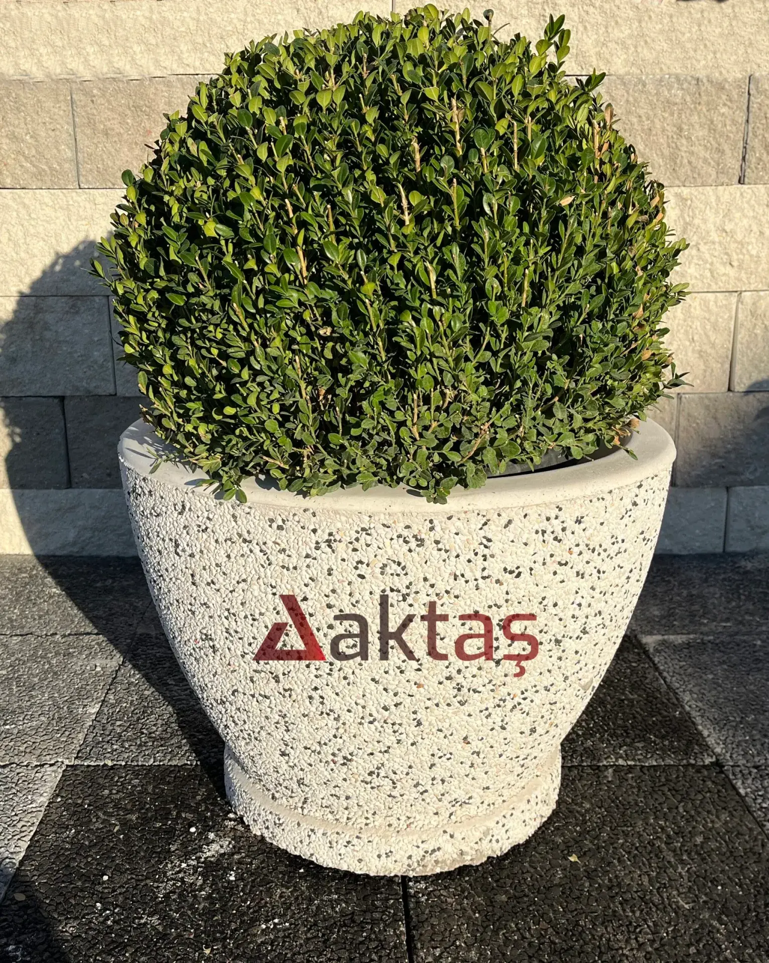 Beton Saksı